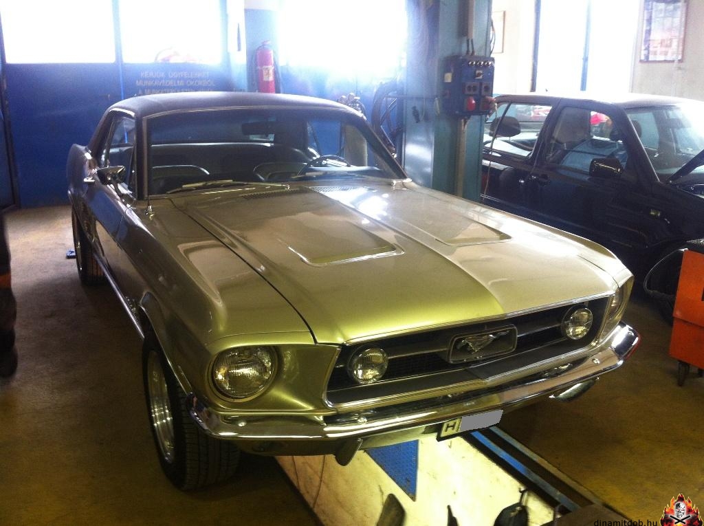 Mustang3